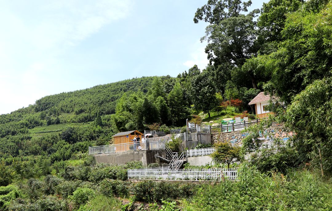 鄭展望教授主持的科研項(xiàng)目獲浙江省重大科技項(xiàng)目立項(xiàng)