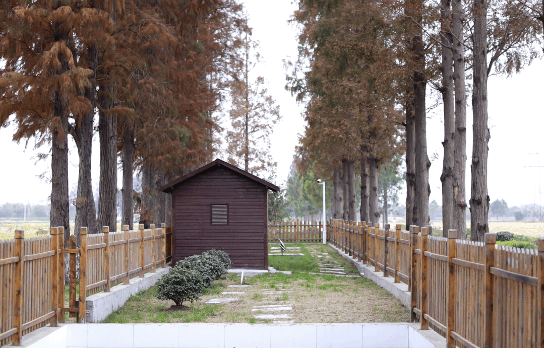 雙良商達(dá)簽訂嘉善縣1620萬(wàn)元農(nóng)村污水運(yùn)維服務(wù)合同