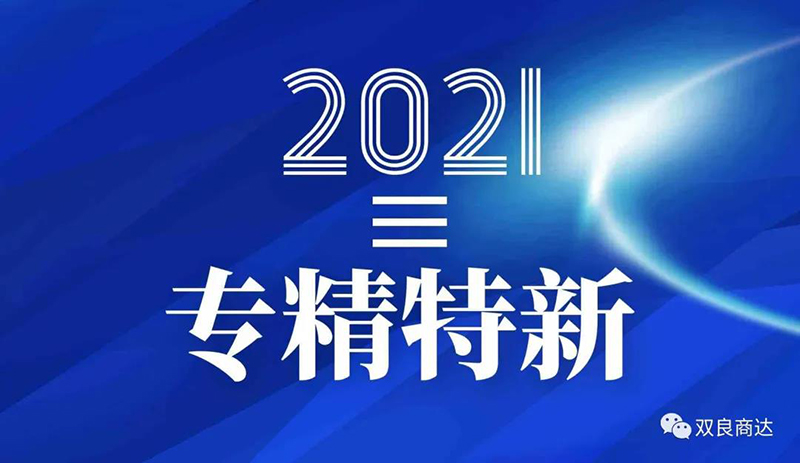 雙良商達(dá)入選浙江省“專精特新”企業(yè)名單