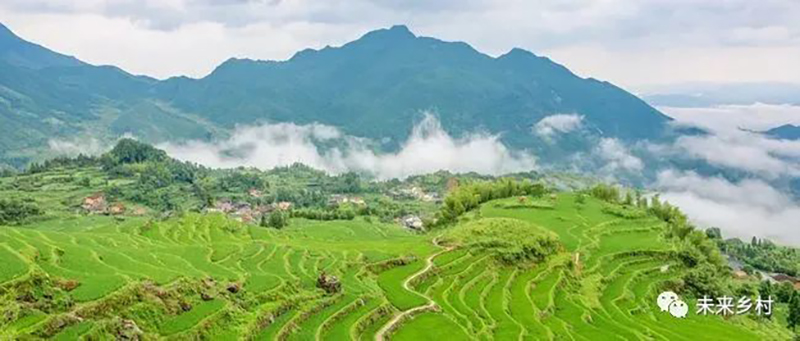 “未來鄉(xiāng)村”長啥樣？看看浙江的做法！