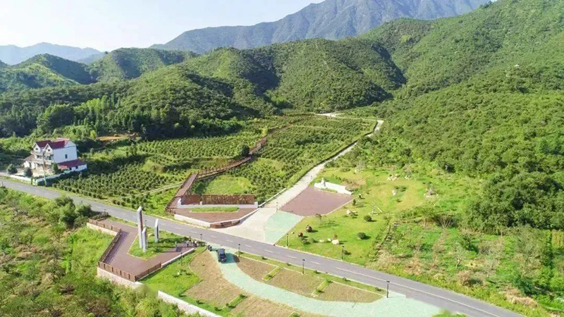 國(guó)家級(jí)示范，浙江新增4家！