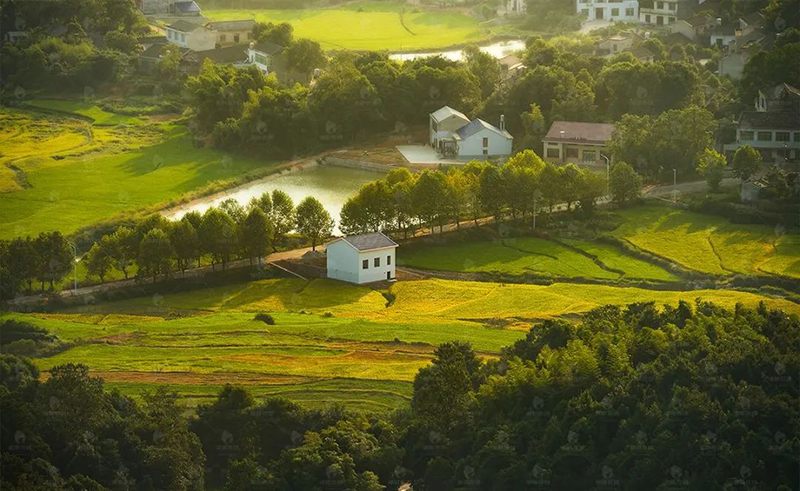 為深入貫徹習近平生態(tài)文明思想，落實黨的十九屆六中全會精神，全面貫徹新發(fā)展理念，深入打好污染防治攻堅戰(zhàn)，助力高水平建設(shè)新時代美麗浙江，浙江省環(huán)境科學學會將于3月3