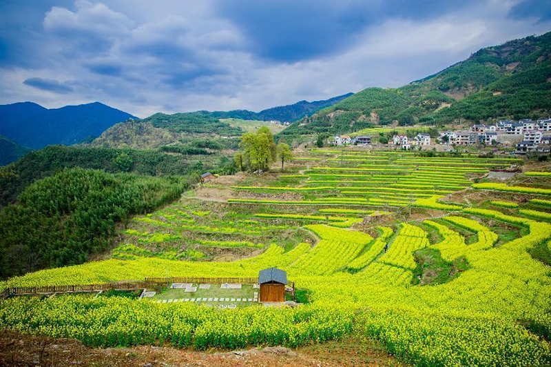 林業(yè)碳匯項目市場潛在價值為2802億~4691億元