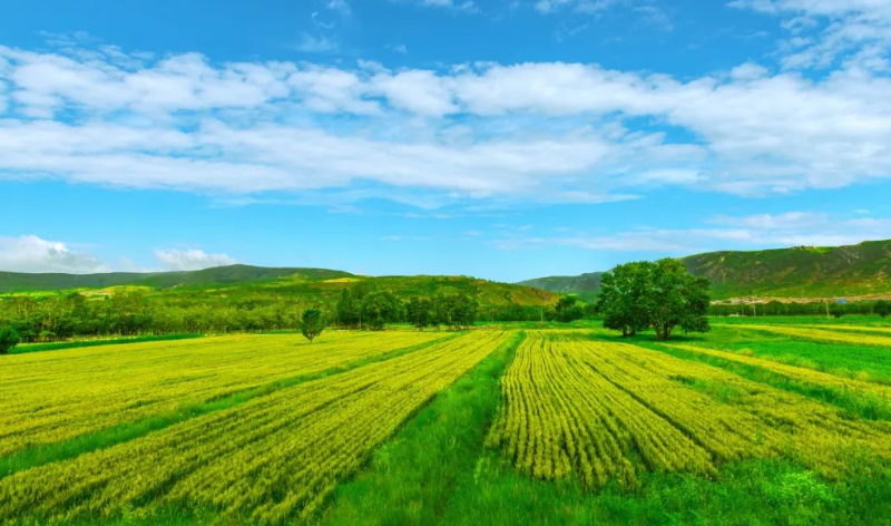 鄉(xiāng)村振興：生態(tài)循環(huán)農(nóng)業(yè)的三種模式及運營案例