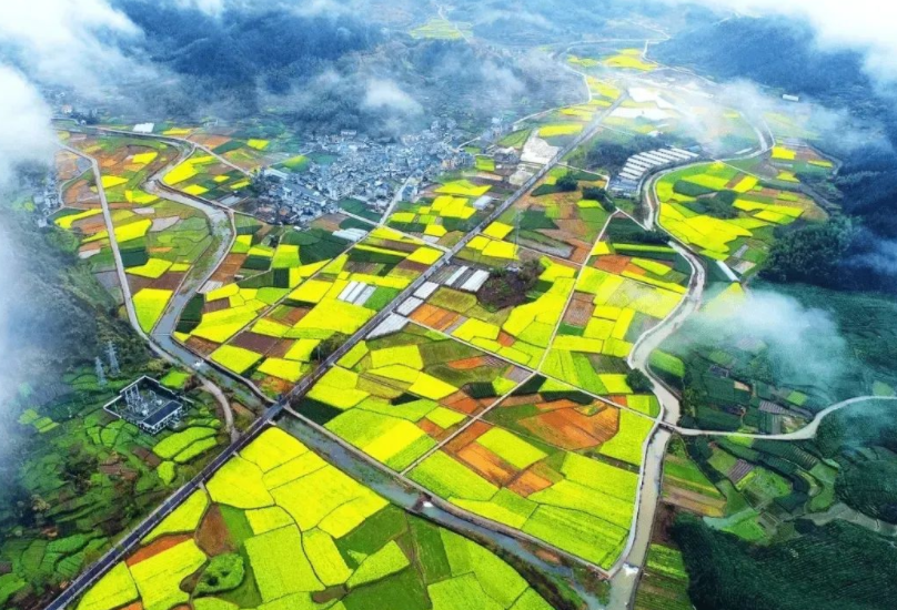 支持社會(huì)資本投資農(nóng)村人居環(huán)境整治，《社會(huì)資本投資農(nóng)業(yè)農(nóng)村指引（2022年）》發(fā)布