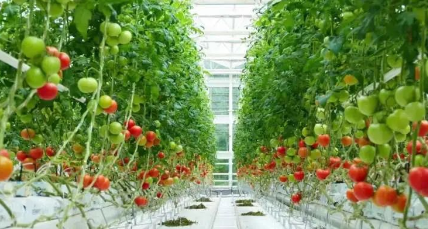 浙報(bào)深讀｜這件事，湖州為何連續(xù)3年成全國(guó)唯一“全域先進(jìn)”？