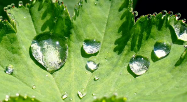 2022年“世界水日”“中國水周”來了！一文看懂，我們這樣做…
