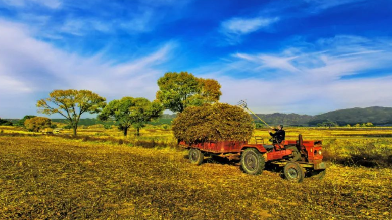 廣西《農村生活污水治理“十四五”規(guī)劃》