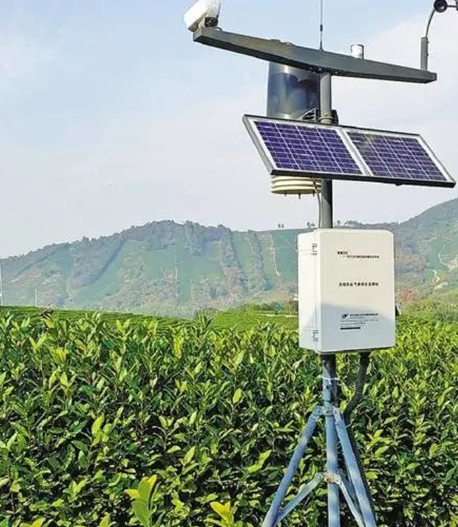 鞏固提升林業(yè)碳匯 助力實(shí)現(xiàn)“雙碳”目標(biāo)，訪林業(yè)碳匯專家周國(guó)模