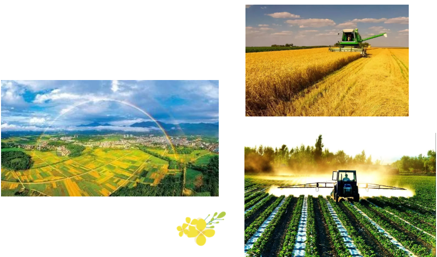 一圖讀懂丨《高標(biāo)準(zhǔn)農(nóng)田建設(shè)通則》（GB/T30600-2022）