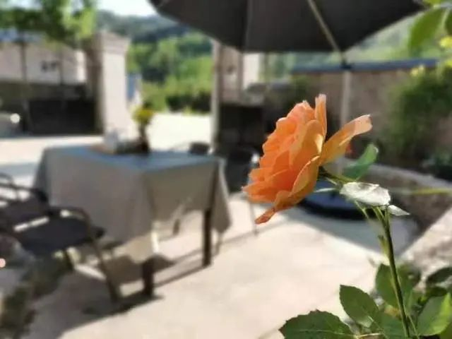 《浙江日?qǐng)?bào)》頭版報(bào)道臨安招引鄉(xiāng)村運(yùn)營師新聞發(fā)布會(huì)