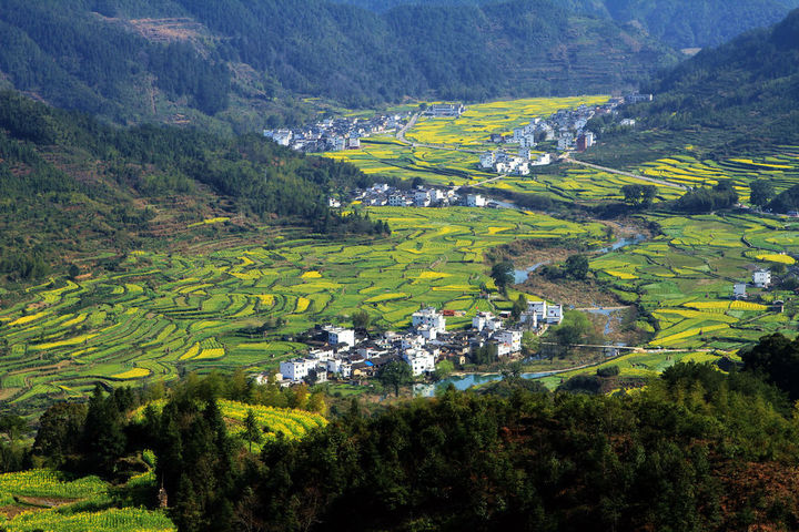 浙江省：新增農(nóng)村行政村環(huán)境整治1100個(gè)，基本消除農(nóng)村黑臭水體