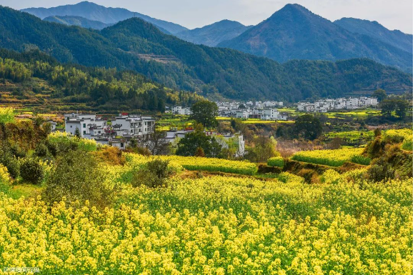 2025 年新增完成 1600 個(gè)行政村環(huán)境整治，廣西發(fā)布《農(nóng)業(yè)農(nóng)村污染治理攻堅(jiān)戰(zhàn)實(shí)施方案（2021—2025年）》