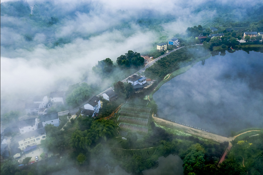 什么是碳達(dá)峰與碳中和？全球有哪些國(guó)家做出了碳中和承諾？