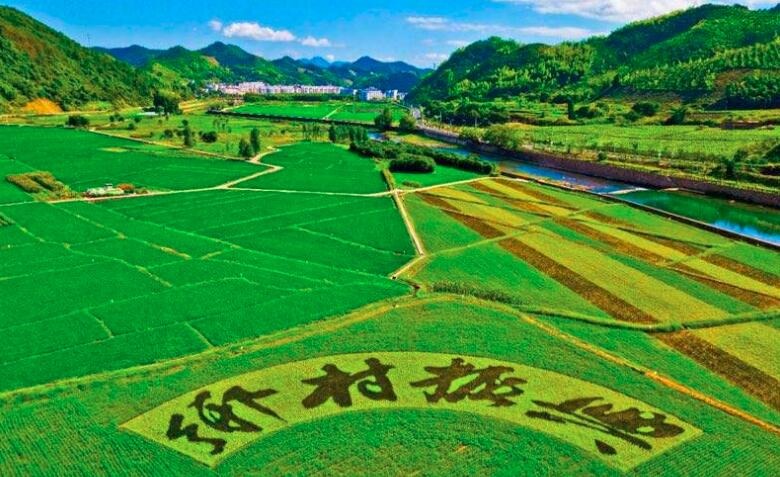 鄉(xiāng)村振興規(guī)劃實(shí)施進(jìn)展如何？這場發(fā)布會(huì)劃重點(diǎn)：系統(tǒng)治理優(yōu)生態(tài)