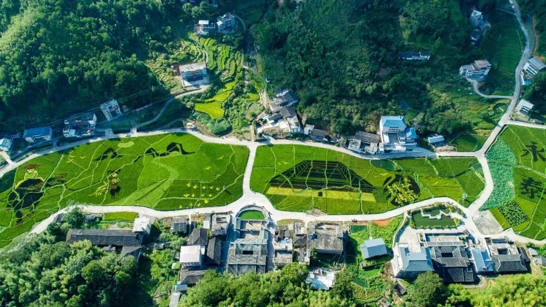 《關(guān)于擴(kuò)大當(dāng)前農(nóng)業(yè)農(nóng)村基礎(chǔ)設(shè)施建設(shè)投資的工作方案》全文發(fā)布！