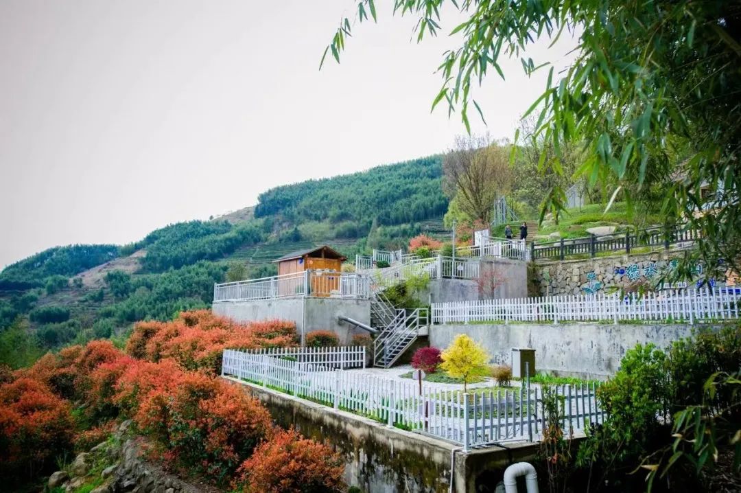 全國優(yōu)秀！臨安這個(gè)項(xiàng)目不簡單