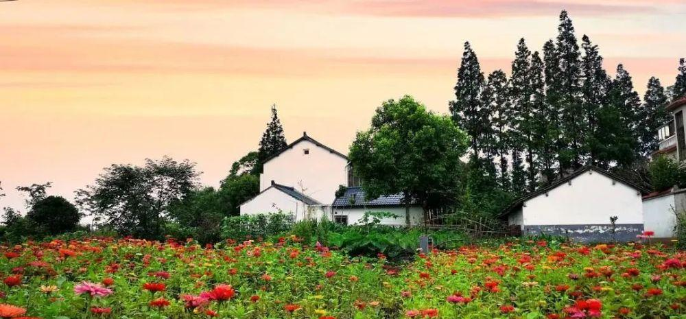 老舊改造+資源化+生態(tài)管控，上海市農(nóng)村生活污水治理提標(biāo)增效行動方案發(fā)布