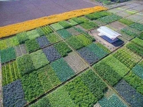 什么是數(shù)字鄉(xiāng)村？如何推進(jìn)建設(shè)智慧綠色鄉(xiāng)村？指南來(lái)了！