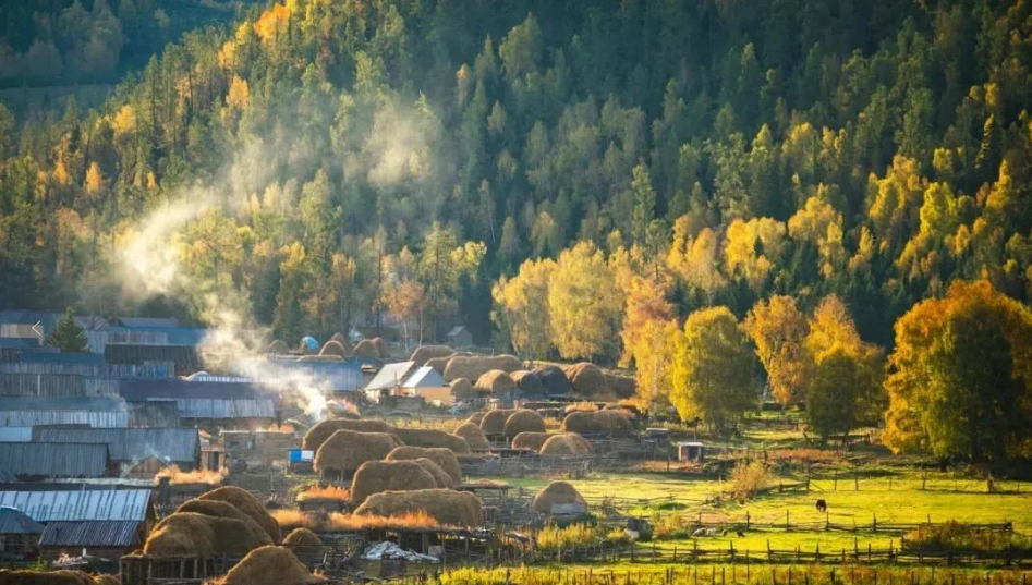國家鄉(xiāng)村振興局開會(huì)研究謀劃明年工作，明確了這些重點(diǎn)和要求