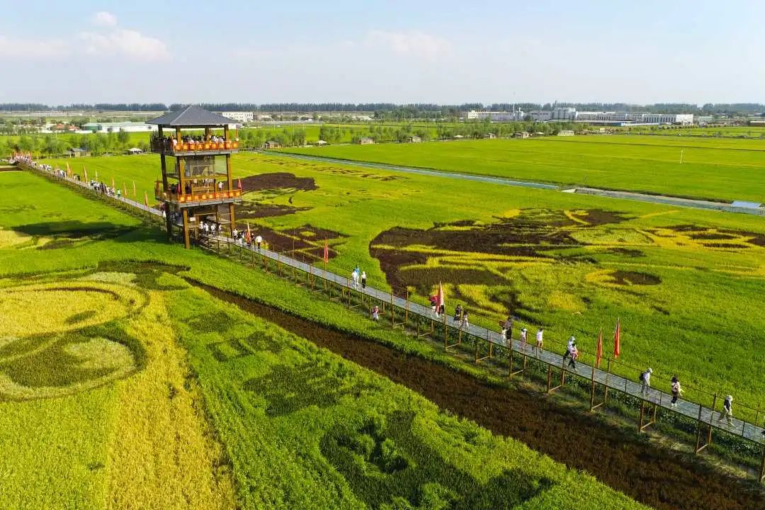 寧夏3年累計(jì)下達(dá)農(nóng)村生活污水以獎(jiǎng)代補(bǔ)資金7.92億元