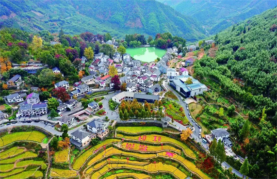 商達公用臨安項目獲評“浙江省2022年度生態(tài)示范工程”