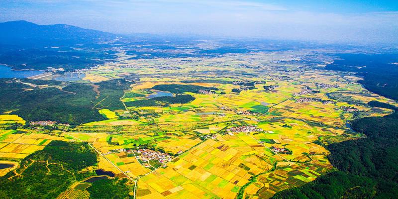 31個(gè)省區(qū)市“雙碳”目標(biāo)及有關(guān)規(guī)劃