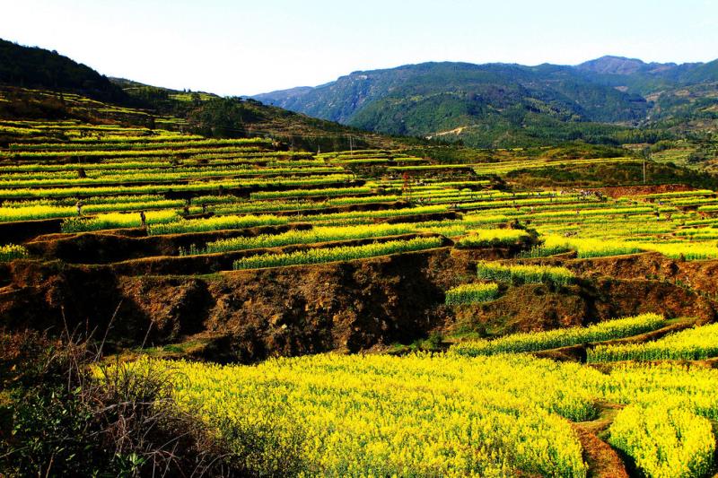 農(nóng)污設(shè)施正常運(yùn)行率80%，山西省水環(huán)境質(zhì)量再提升2022-2023年行動(dòng)計(jì)劃發(fā)布