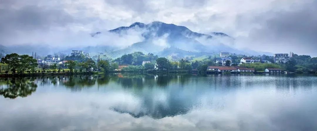 中央鄉(xiāng)村振興的宏觀大政：產(chǎn)業(yè)興旺、生態(tài)宜居、鄉(xiāng)風(fēng)文明、治理有效、生活富裕