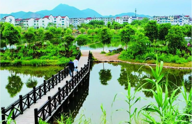 《中國環(huán)境報(bào)》頭版頭條：浙江構(gòu)建降碳、減污、擴(kuò)綠、增長整體智治體系