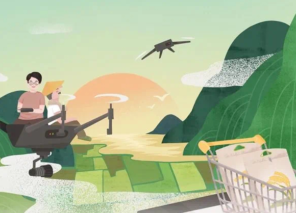 全國(guó)唯一！浙江明確“156”工作體系，全面推進(jìn)數(shù)字鄉(xiāng)村引領(lǐng)區(qū)建設(shè)