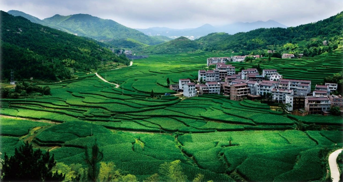 2023年中央一號文件，與生態(tài)環(huán)保息息相關(guān)的內(nèi)容有哪些？