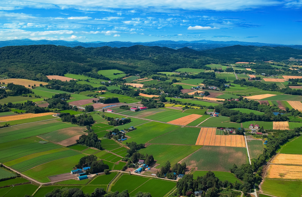 2023年鄉(xiāng)村振興項目申報及政策補(bǔ)貼匯總，支持鄉(xiāng)鎮(zhèn)污水處理、農(nóng)村人居環(huán)境整治、智慧農(nóng)業(yè)和數(shù)字鄉(xiāng)村等領(lǐng)域