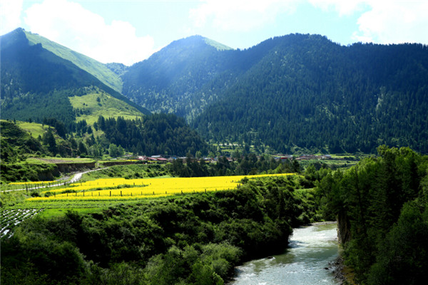 建設(shè)村莊垃圾收集點、鄉(xiāng)鎮(zhèn)垃圾轉(zhuǎn)運(yùn)站，《甘肅省鄉(xiāng)村建設(shè)行動實施方案》明確這些要求！