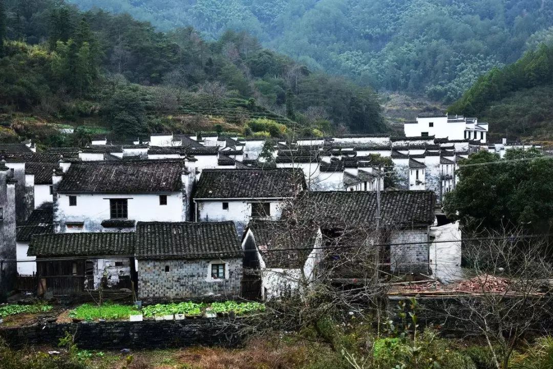 七部門明確！在農(nóng)村人居環(huán)境整治提升中統(tǒng)籌考慮減污降碳要求