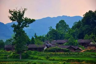 寧夏農(nóng)村生活污水處理設施運行維護管理辦法（試行）