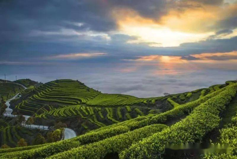 農業(yè)農村部：到2025年建設1000家國家級生態(tài)農場