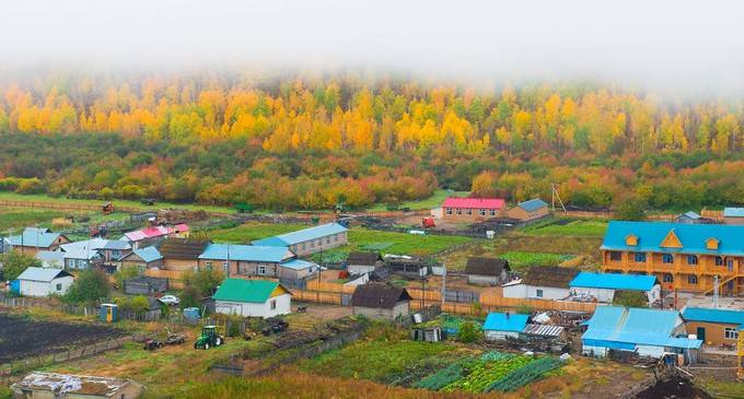 《遼寧省碳達峰實施方案》全文發(fā)布！明確36項重點任務