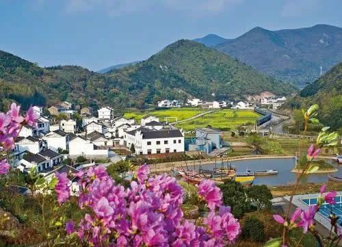 農業(yè)農村部答復關于建立鄉(xiāng)村振興國家級產業(yè)示范區(qū)的提案