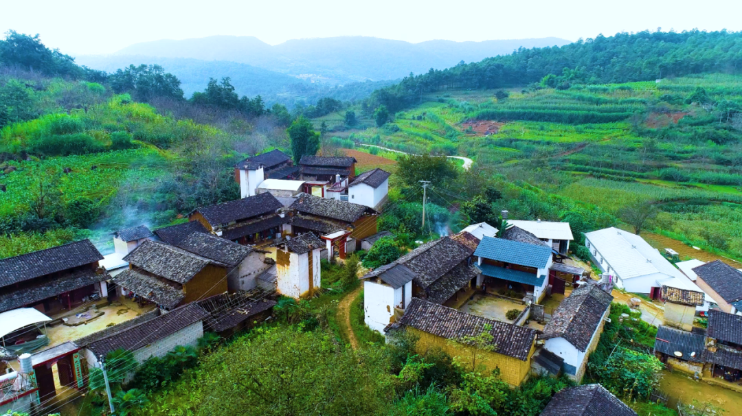 我國農(nóng)村污水的發(fā)展歷程及治理工作的推進