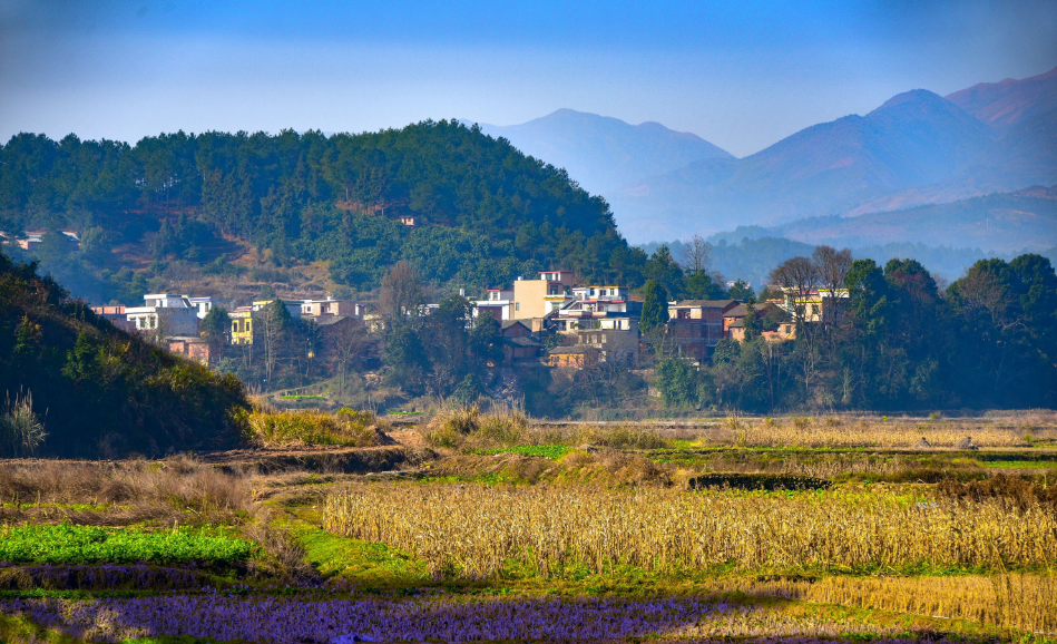 山東省農(nóng)村生活污水處理設(shè)施運(yùn)行維護(hù)管理辦法（修訂稿）征求意見