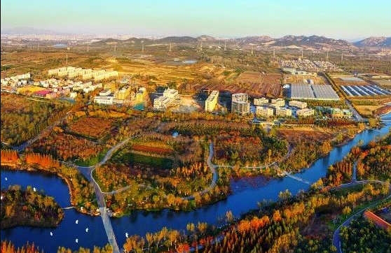 什么是農(nóng)村生活污水全域治理的“青島速度”？