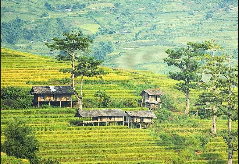 農(nóng)村生活污水凈化裝置團(tuán)體標(biāo)準(zhǔn)通過批準(zhǔn)，12月1日起正式實(shí)施