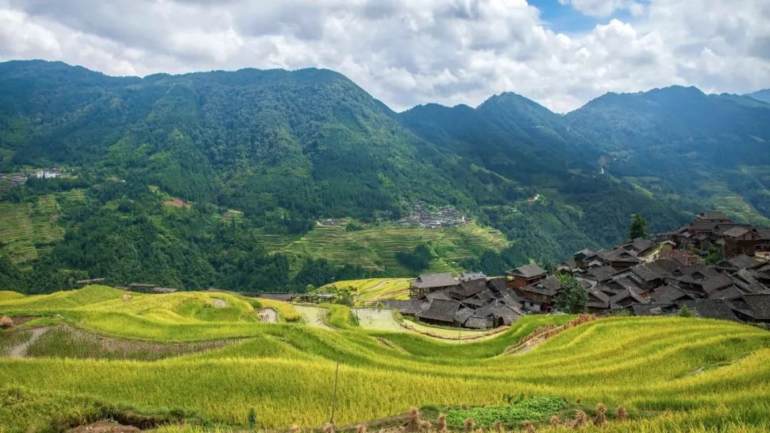 安徽：農(nóng)村黑臭水體整治，強(qiáng)化推進(jìn)會(huì)落實(shí)