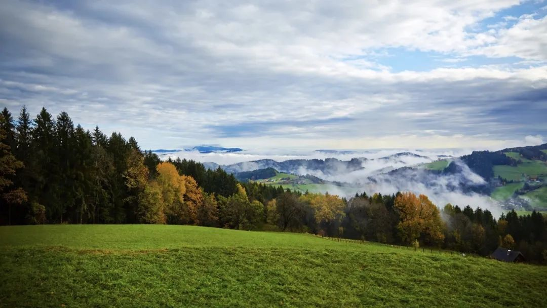 ?？冢恨r(nóng)村黑臭水體整治中的“四下基層”制度應(yīng)用