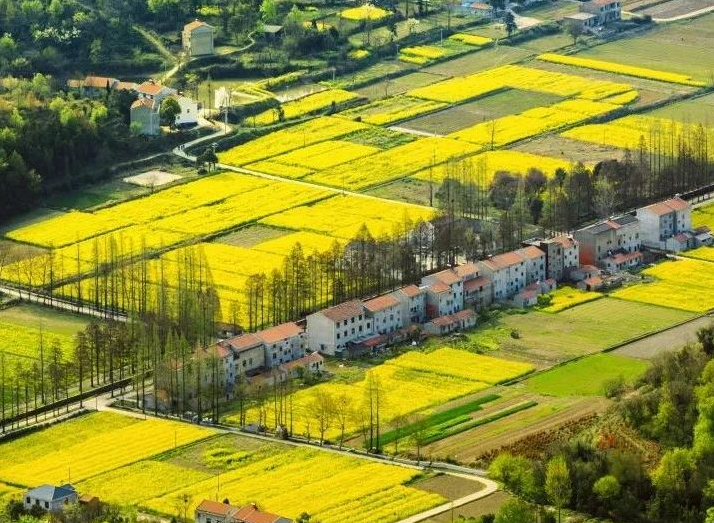 2025年治理率達(dá)到65.76%以上，武漢市農(nóng)村生活污水治理三年行動(dòng)實(shí)施方案發(fā)布