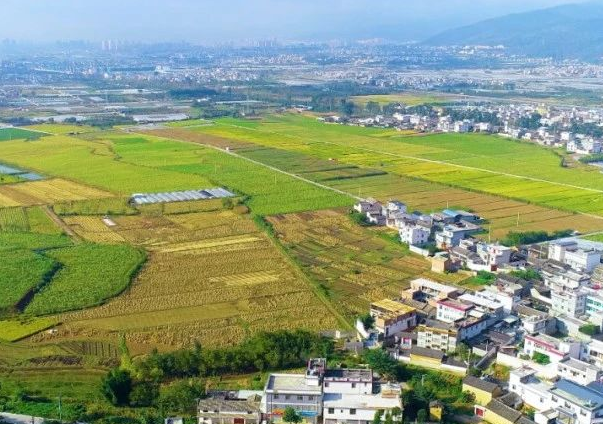 分析農(nóng)村污水排放標(biāo)準(zhǔn)及治理方向