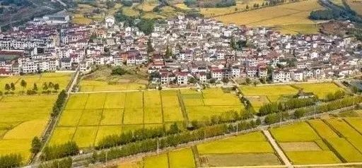 未來5年，鄉(xiāng)村產(chǎn)業(yè)8大投資重點在哪里？