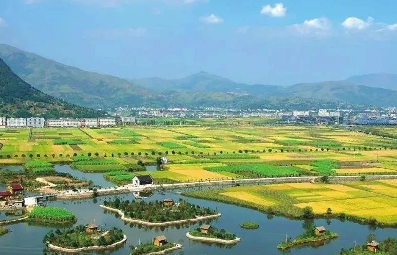 鄉(xiāng)村振興工作滯后，約談！江西省委、省政府發(fā)布《江西省鄉(xiāng)村振興責(zé)任制實(shí)施細(xì)則》