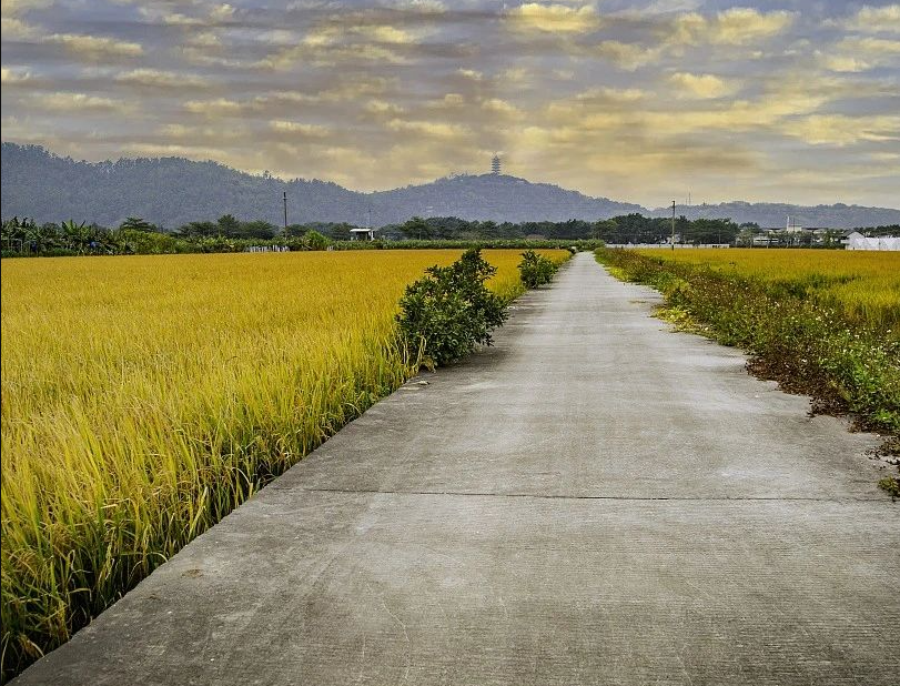 12月16日?qǐng)?zhí)行！廣東省農(nóng)業(yè)農(nóng)村廳 廣東省財(cái)政廳關(guān)于印發(fā)《廣東省現(xiàn)代農(nóng)業(yè)產(chǎn)業(yè)園財(cái)政資金管理辦法（修訂）》的通知